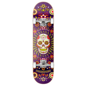 Patineta mexicana hidropónica 8.125 "Calavera Púrpura